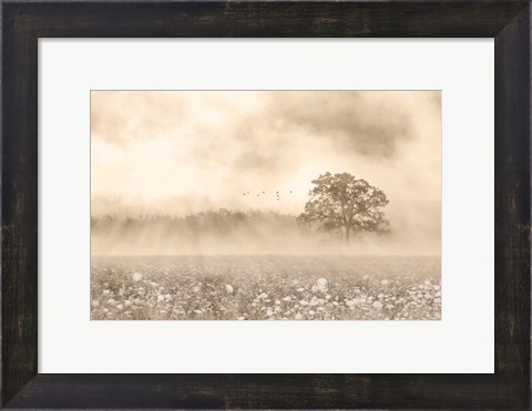 Framed Foggy Wildflower Field Print