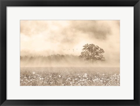 Framed Foggy Wildflower Field Print