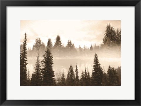 Framed Fog in the Forest Print