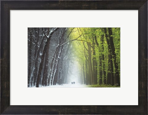 Framed Spring is Coming Print