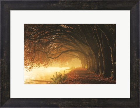 Framed Autumn Sunrise Print