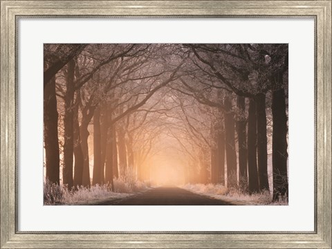 Framed Frosted Sunrise I Print