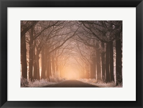 Framed Frosted Sunrise I Print