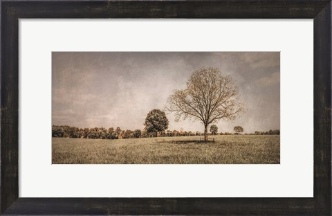 Framed Spring in the Fields Print