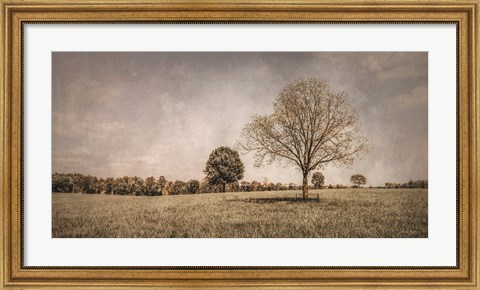 Framed Spring in the Fields Print