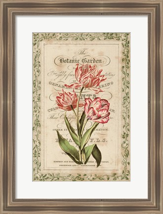 Framed Botanic Garden Print