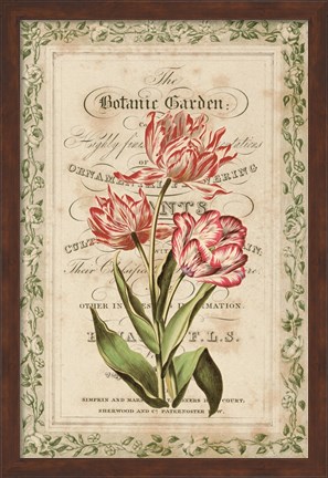 Framed Botanic Garden Print