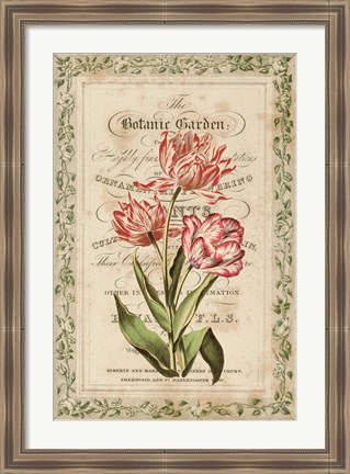 Framed Botanic Garden Print