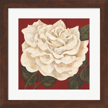 Framed Rosa Blanca Grande I Print