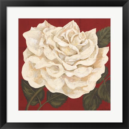 Framed Rosa Blanca Grande I Print