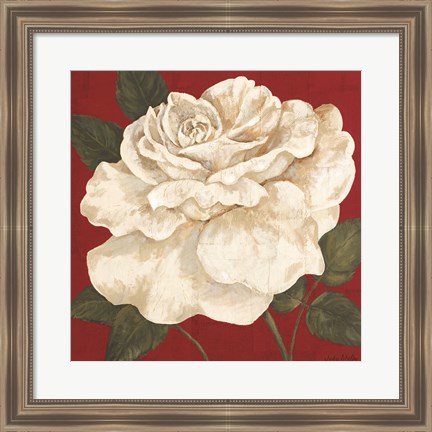 Framed Rosa Blanca Grande II Print