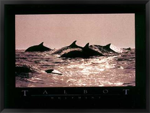 Framed Dolphins Print