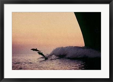 Framed Flight (Un Mare d&#39;Amore) Print