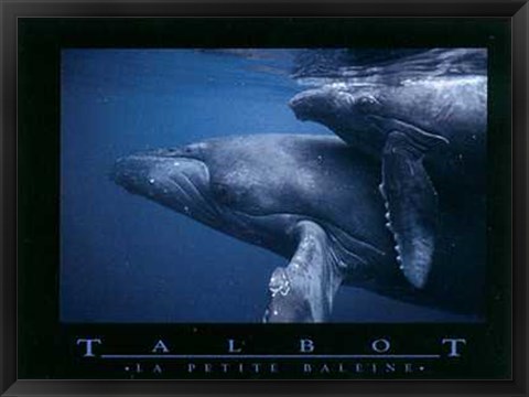 Framed Petite Baleine Print