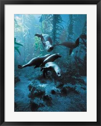 Framed Forest in the Sea Print