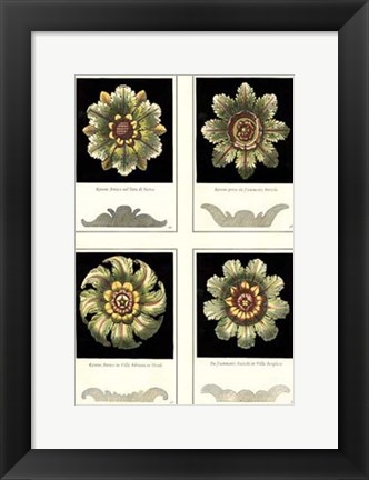 Framed Mini Rosettes Print