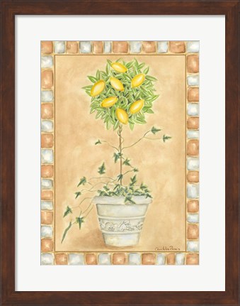 Framed Tuscan Fruit II Print