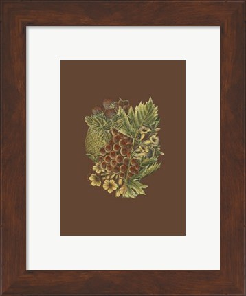 Framed Fruit on Burgundy I Print