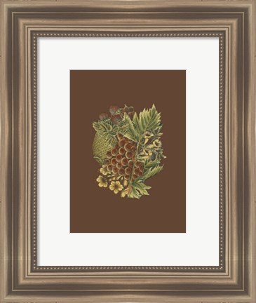 Framed Fruit on Burgundy I Print