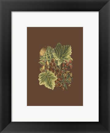 Framed Fruit on Burgundy II Print