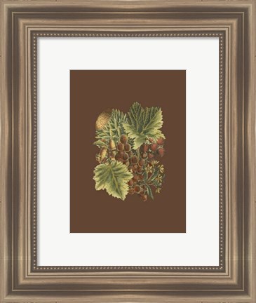 Framed Fruit on Burgundy II Print