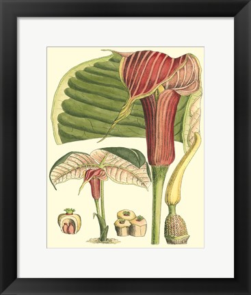 Framed Botanical Fantasy II Print