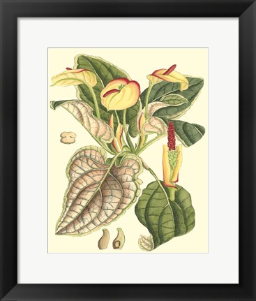 Framed Botanical Fantasy III Print