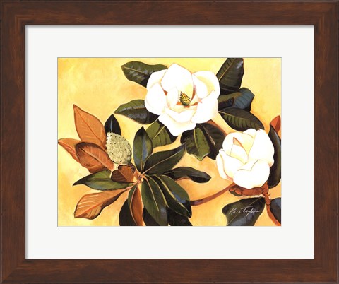 Framed Southern Magnolia I Print