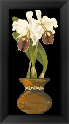 Framed Orchids in Pot II Print