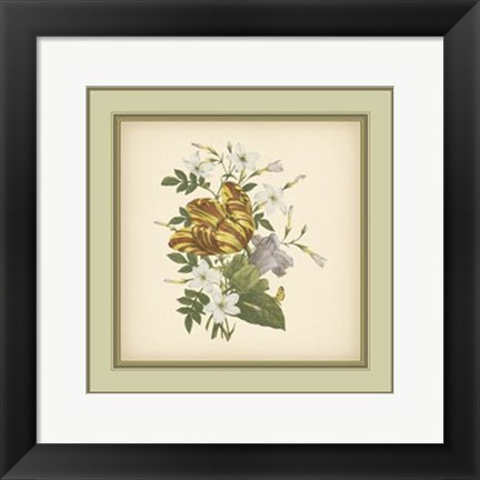 Framed Tuscany Bouquet (P) IX Print