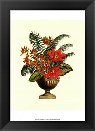 Framed Exotic Flowers in Urn (P) I Print