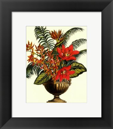 Framed Exotic Flowers in Urn (P) I Print