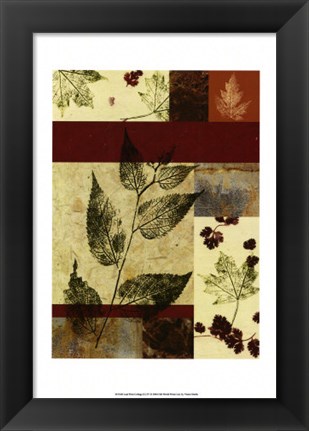 Framed Leaf Print Collage (U) IV Print