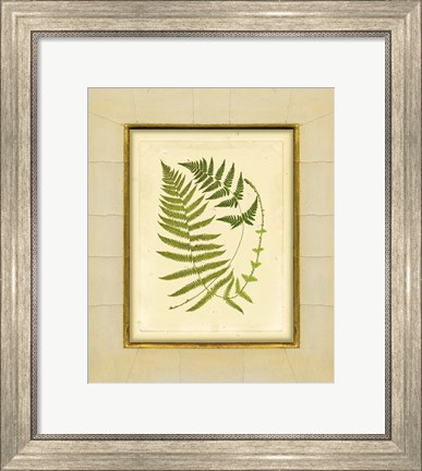 Framed Fern with Crackle Mat (H) III Print