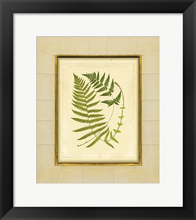 Framed Fern with Crackle Mat (H) III Print