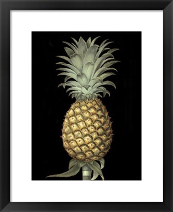 Framed Brookshaw&#39;s Exotic Pineapple I Print