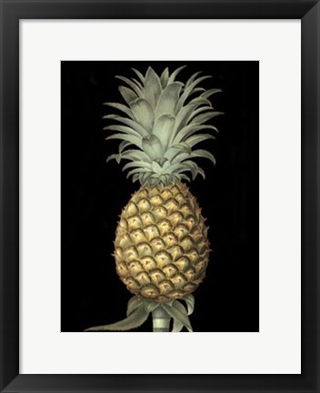 Framed Brookshaw&#39;s Exotic Pineapple I Print