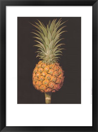 Framed Brookshaw&#39;s Exotic Pineapple II Print