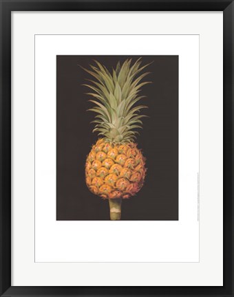 Framed Brookshaw&#39;s Exotic Pineapple II Print