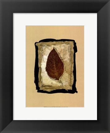 Framed Kyoto Leaves III Print