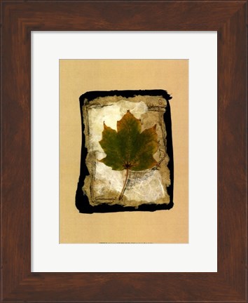 Framed Kyoto Leaves V Print