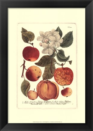 Framed Fruits I Print