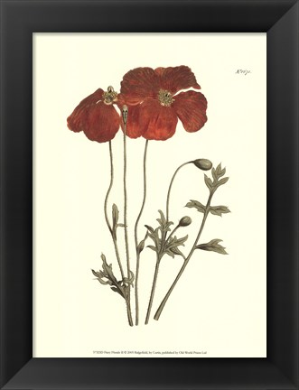 Framed Fiery Florals II Print