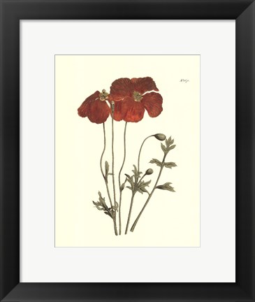 Framed Fiery Florals II Print