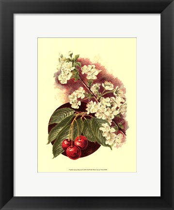 Framed Cherry Blossom Print