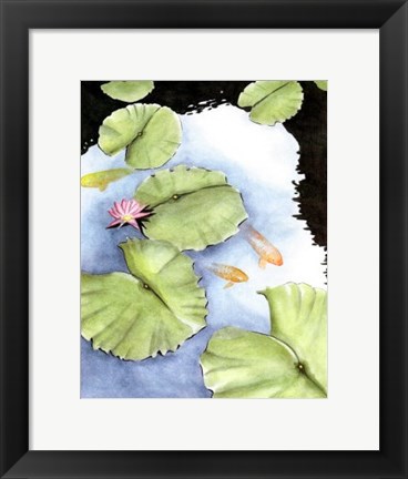 Framed Koi Reflection II Print