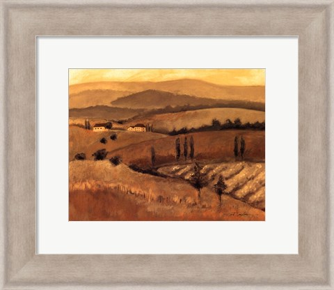 Framed Golden Tuscany Afternoon II Print