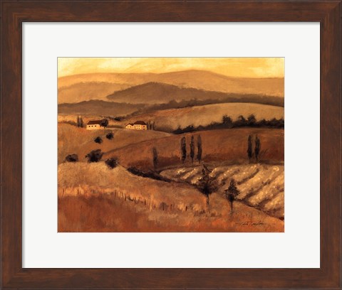 Framed Golden Tuscany Afternoon II Print