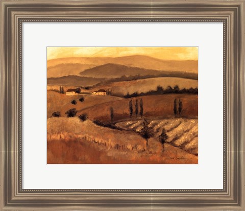 Framed Golden Tuscany Afternoon II Print