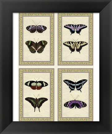 Framed Miniature Butterflies Print